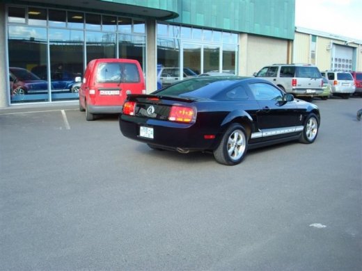 17.04.2010_372__medium_