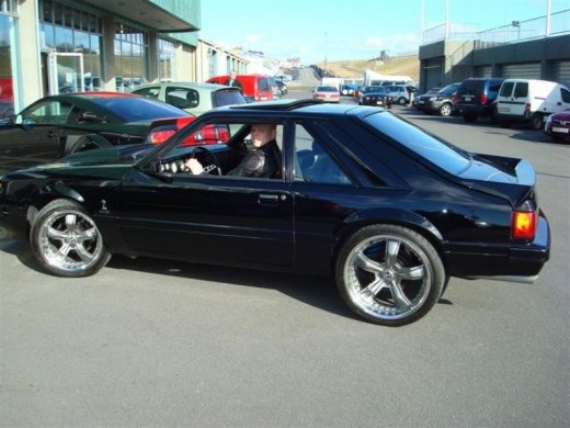 17.04.2010_379__medium_