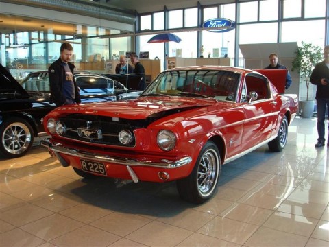 17.04.2010_239__medium_