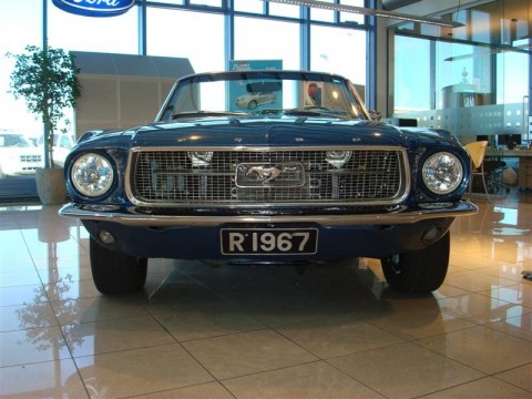 17.04.2010_309__medium_