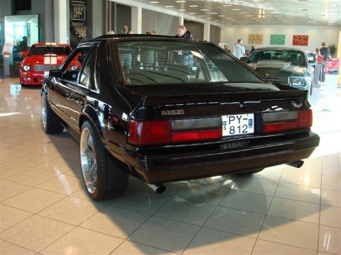 17.04.2010_313__medium_