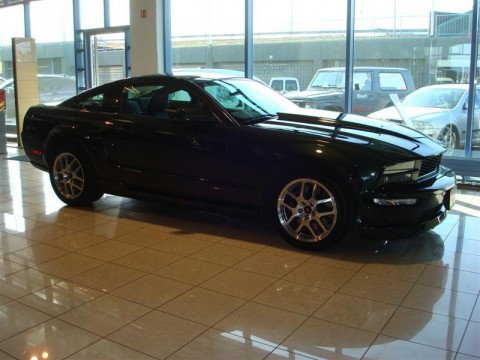 17.04.2010_314__medium_