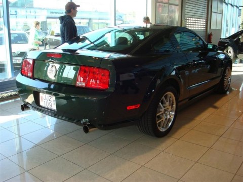 17.04.2010_316__medium_