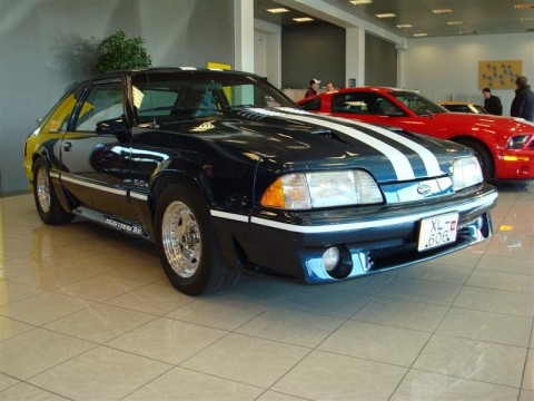 17.04.2010_328__medium_