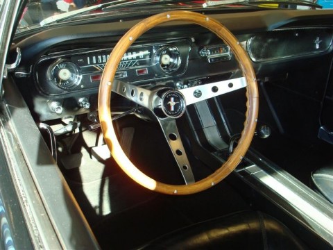 17.04.2010_350__medium_