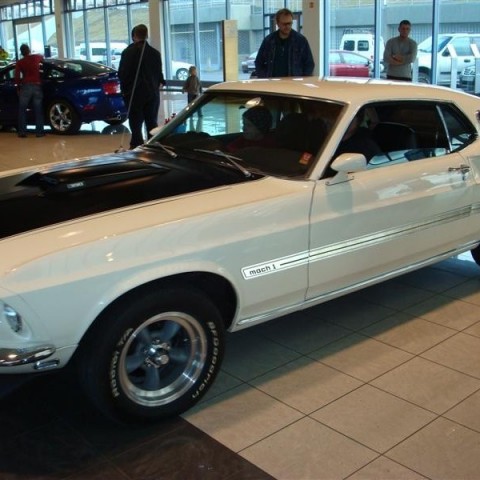 crop-17.04.2010_235__medium_