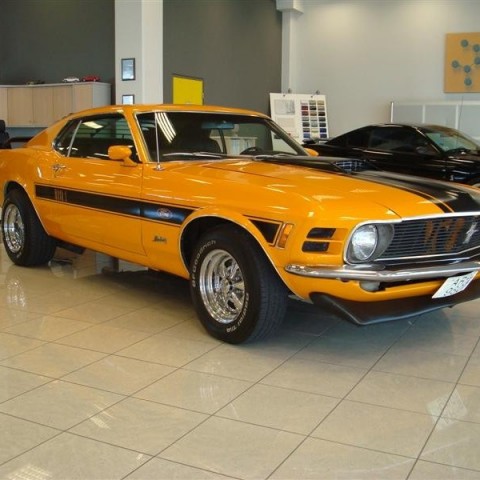 crop-17.04.2010_244__medium_