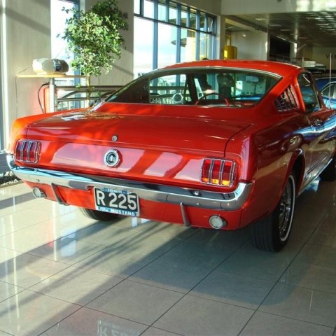 crop-17.04.2010_277__medium_