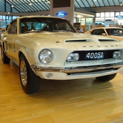 crop-17.04.2010_279__medium_