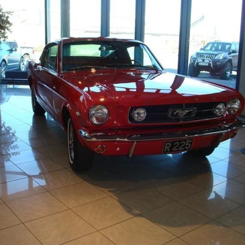 crop-17.04.2010_303__medium_