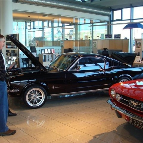 crop-17.04.2010_306__medium_