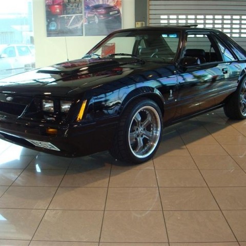 crop-17.04.2010_308__medium_