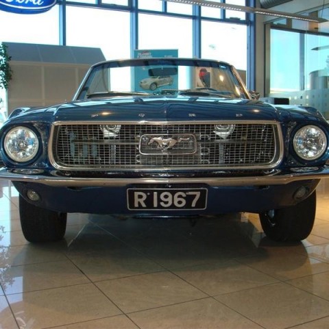 crop-17.04.2010_309__medium_