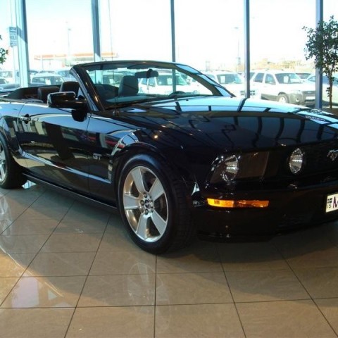 crop-17.04.2010_310__medium_