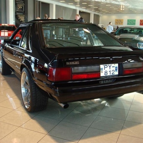 crop-17.04.2010_313__medium_