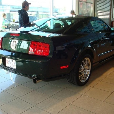 crop-17.04.2010_316__medium_