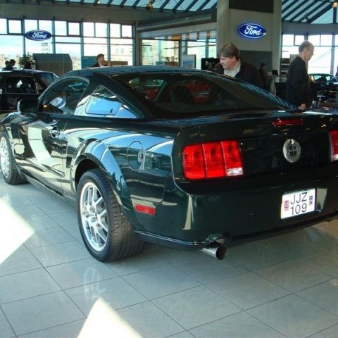 crop-17.04.2010_318__medium_