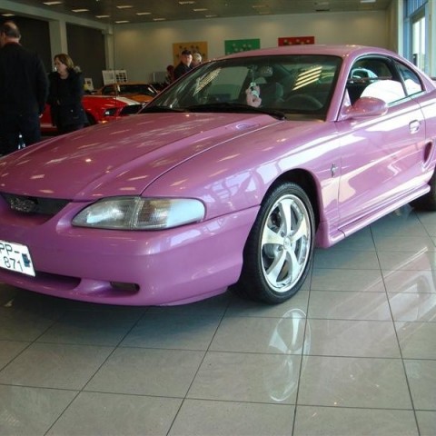 crop-17.04.2010_319__medium_