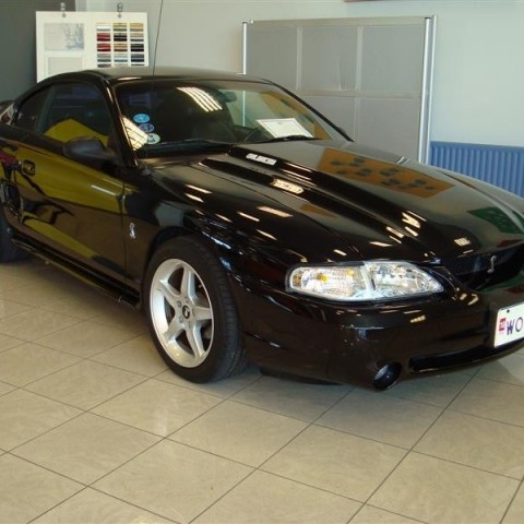 crop-17.04.2010_333__medium_