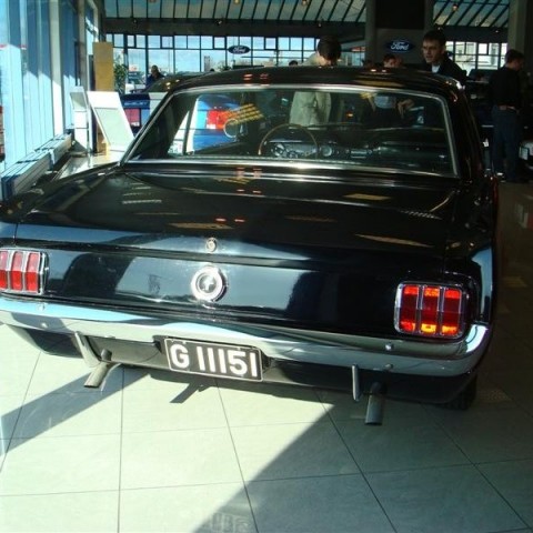 crop-17.04.2010_339__medium_