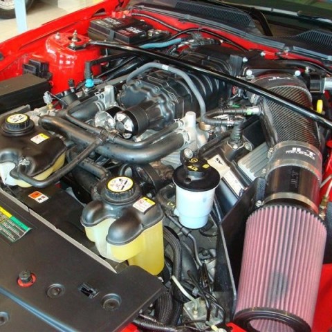 crop-17.04.2010_341__medium_