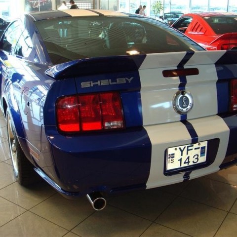 crop-17.04.2010_346__medium_