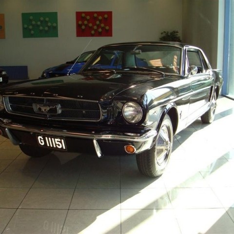 crop-17.04.2010_349__medium_