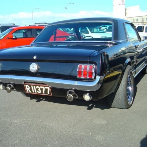 crop-17.04.2010_352__medium_