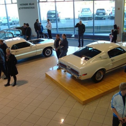 crop-17.04.2010_367__medium_