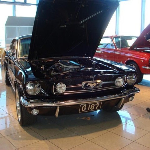 crop-17.04.2010_369__medium_