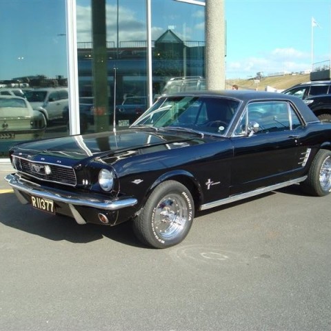 crop-17.04.2010_376__medium_