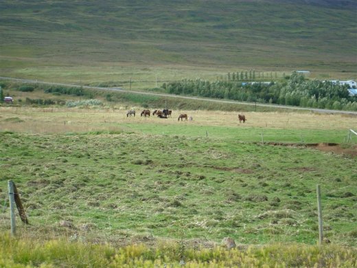 25.08.2009_007__large_