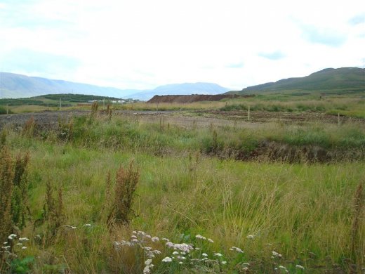 25.08.2009_010__large_