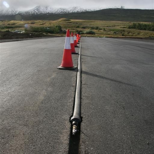 crop-14.09.2011_002__large_