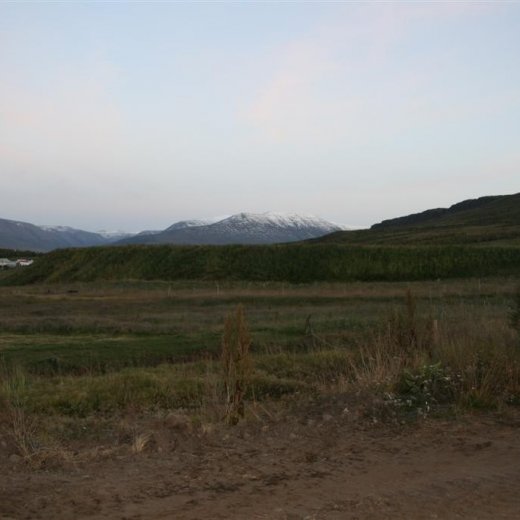 crop-14.09.2011_042__large_