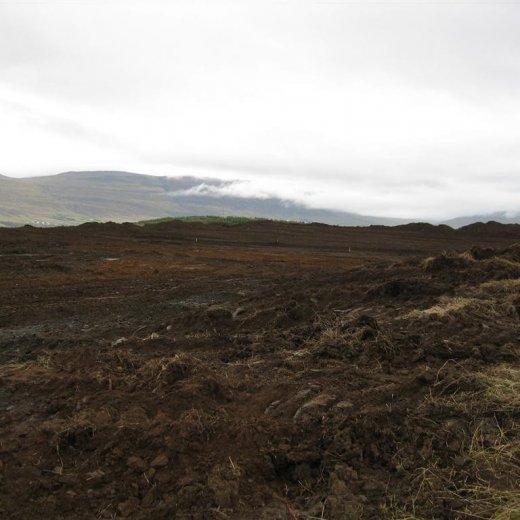 crop-09.09.09_009__large_