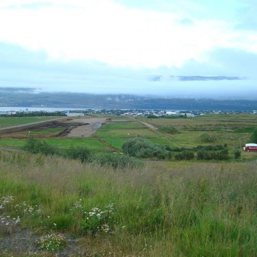 crop-11.08.2009_006__large_