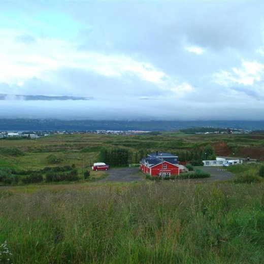 crop-11.08.2009_007__large_