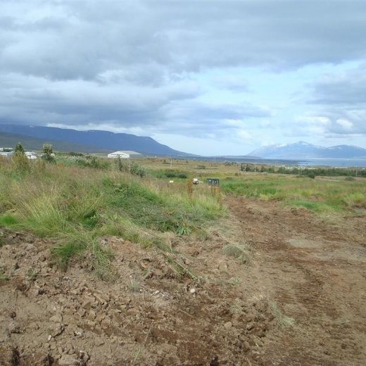 crop-25.08.2009_005__large_