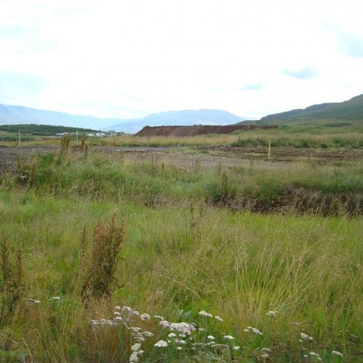 crop-25.08.2009_010__large_