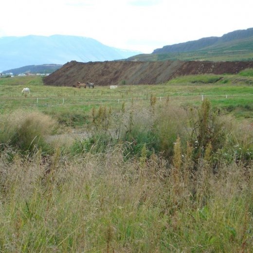 crop-25.08.2009_011__large_