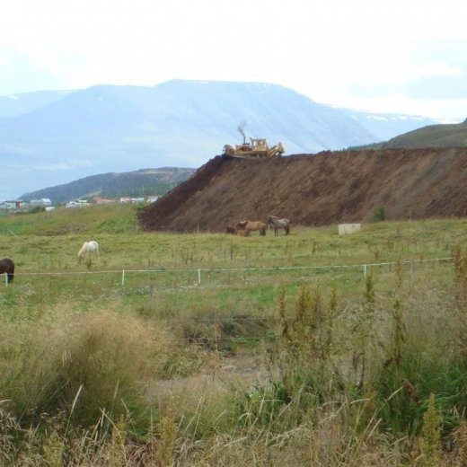 crop-25.08.2009_015__large_