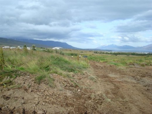 25.08.2009_005__large_