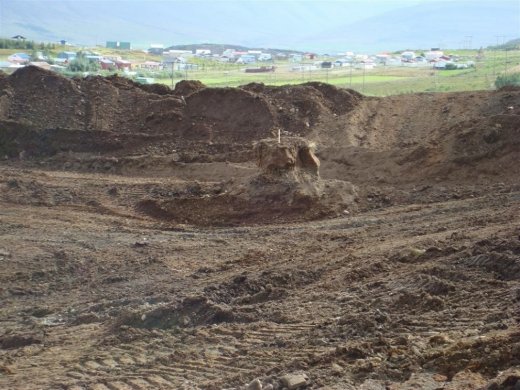 25.08.2009_006__large_