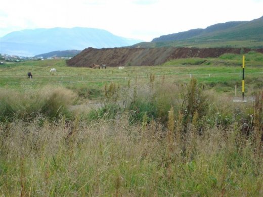 25.08.2009_011__large_