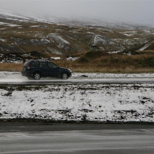 crop-12.10.2011_004__large_