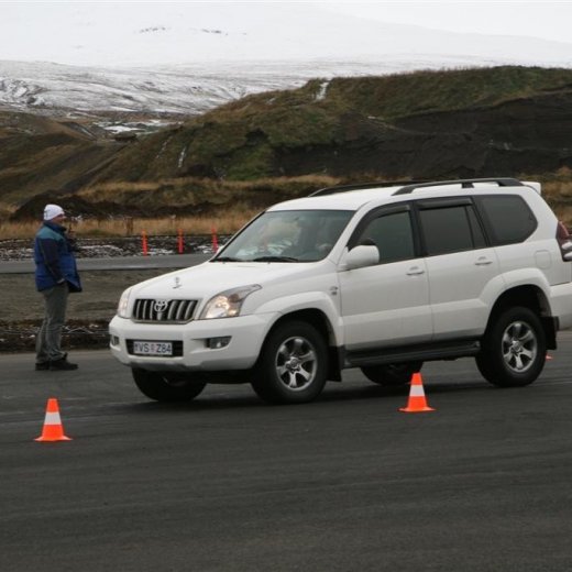 crop-12.10.2011_030__large_