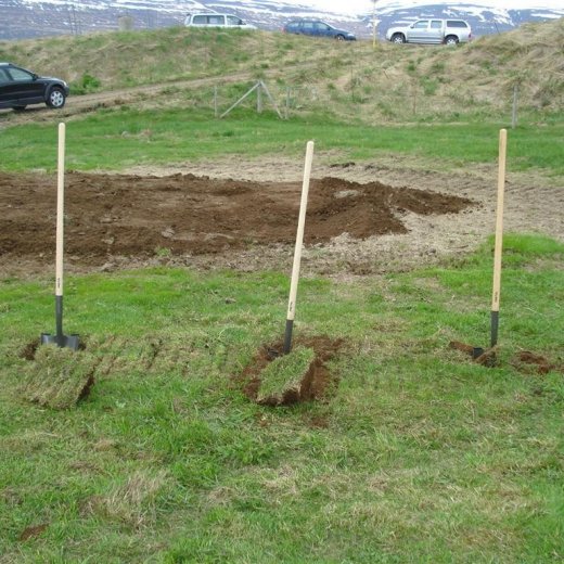 crop-28.mai.2009_080__large_