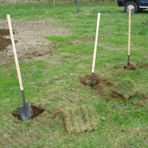 crop-28.mai.2009_081__large_