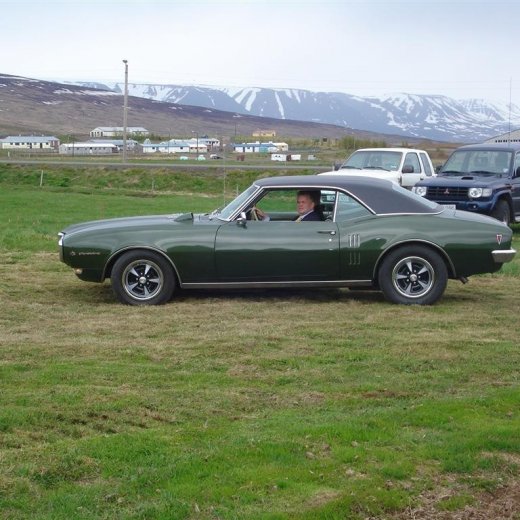 crop-28.mai.2009_095__large_